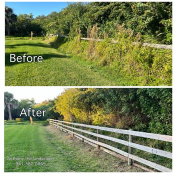 Anthony The Landscaper - Landscape Architects or Designers Near Me - Sarasota, Florida Anthony The Landscaper - Landscape Architects or Designers Near Me - Sarasota, Florida