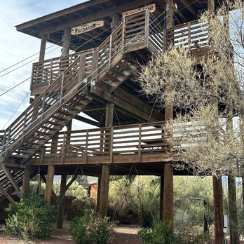 Predator Zip Lines - Based camp view - Ziplining Near Me