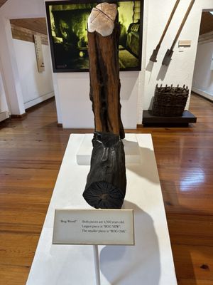 Connemara National Park by null