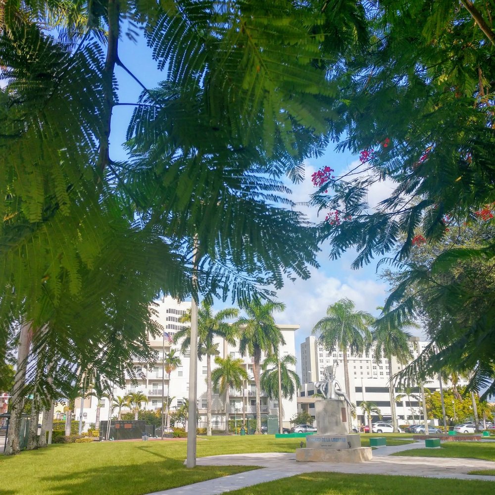Triangle Park - Parks Near Me - Hialeah, Florida Triangle Park - Parks Near Me - Hialeah, Florida