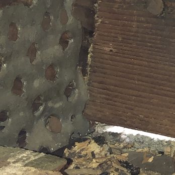 Inland Pest Management - Rat eating on wall in the garage - Pest Control Near Me Inland Pest Management - Rat eating on wall in the garage - Pest Control Near Me