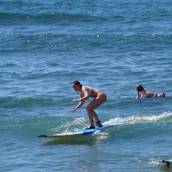 Haleiwa Surf School