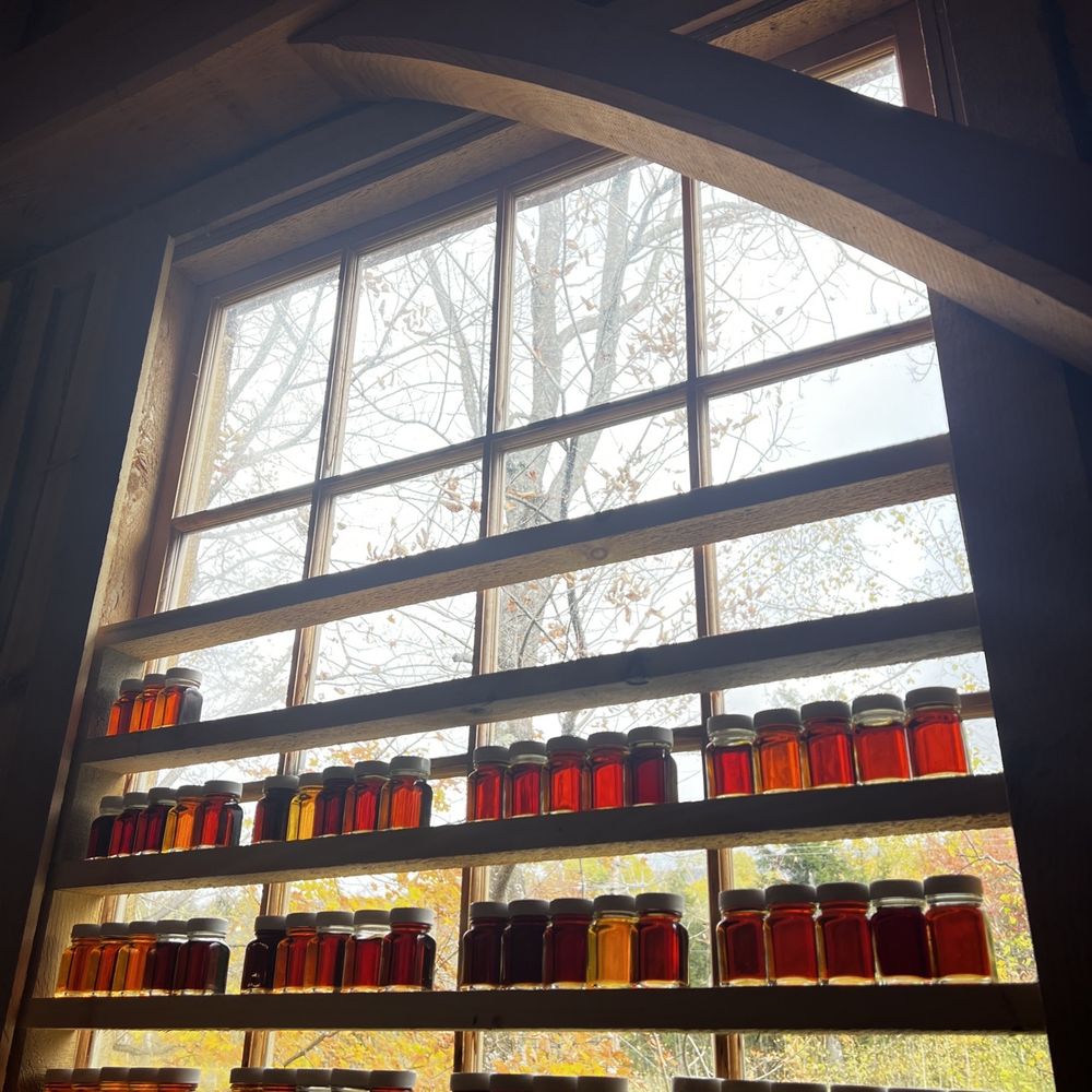 Wykckoff Family Maple - jars of maple syrup in a window - Specialty Food Near Me - Cambridge, Vermont Wykckoff Family Maple - jars of maple syrup in a window - Specialty Food Near Me - Cambridge, Vermont