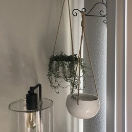 String of dolphins at home