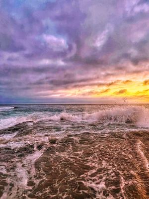 Shaws Cove by null