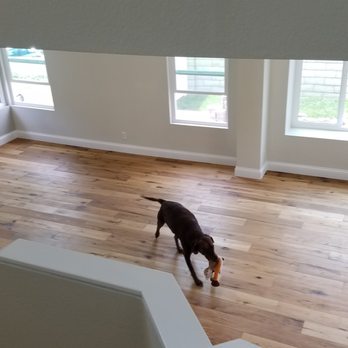 Trend Construction Company - a dog walking up the stairs - General Contractors Near Me - Laguna Niguel, California Trend Construction Company - a dog walking up the stairs - General Contractors Near Me - Laguna Niguel, California