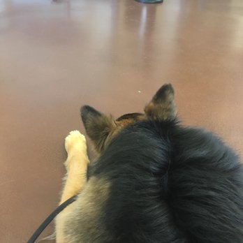 Animal Samaritans Veterinary Clinic Indio - Veterinarians Near Me - Indio, California