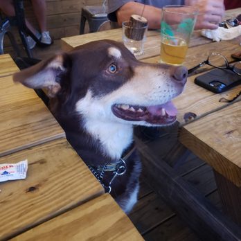 Back Forty Beer Company - #dogfriendly !#ReviewsByRL - Breweries Near Me - Gadsden, Alabama