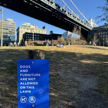 Brooklyn Bridge Park - Park lawn. - Parks Near Me - Brooklyn, New York