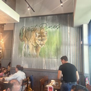 First Watch - Decor - Breakfast & Brunch Near Me - Pembroke Pines, Florida