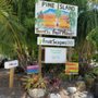 Photo of Bea's at Pine Island Tropicals Fruit Stand