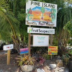 Bea's at Pine Island Tropicals Fruit Stand - This is the front of the business. No sign for Bea's
