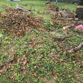 Affordable Tree Care & Stump Removal - Limbs all over the yard - Tree Services Near Me Affordable Tree Care & Stump Removal - Limbs all over the yard - Tree Services Near Me