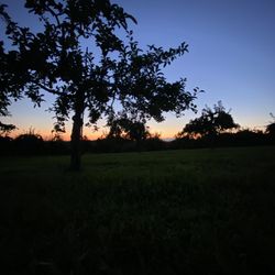 Fern Valley Farms - 7.30.23