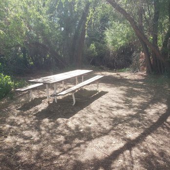 Tres Rios Wetlands - Closer view of picnic space. Not many trashcans around, but there are some, so don't be a slob! - Parks Near Me