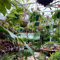 Bountiful Gardens - Ewing
