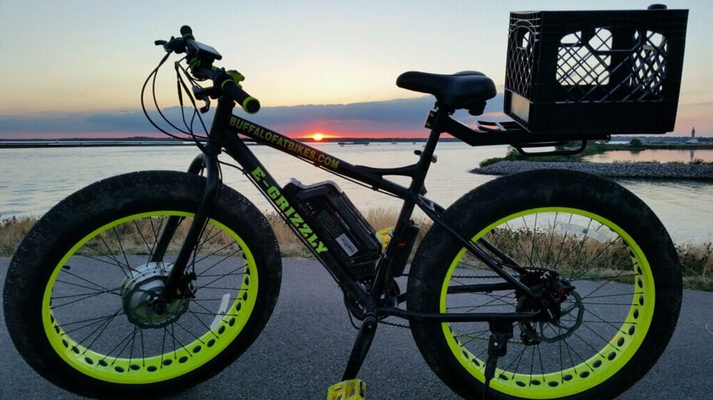 Buffalo Fat Bikes Logo