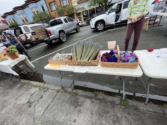 Arcata Plaza Farmers' Market by null