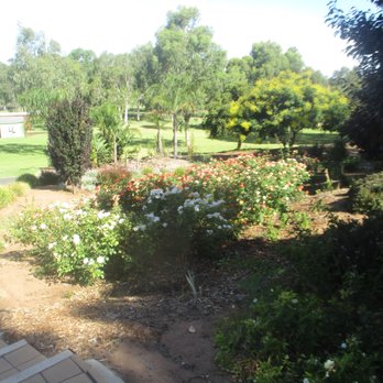 Murray Bridge Foreshore Park - Garden - Parks Near Me - Murray Bridge, SA