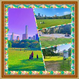Montage of images from Sheep Meadow