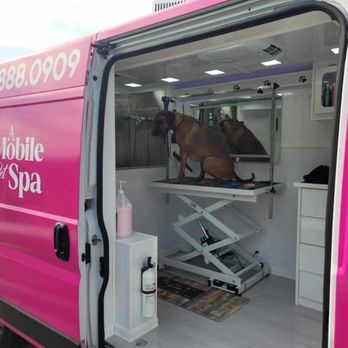 210 Pet Grooming - Pet Groomers Near Me - San Antonio, Texas