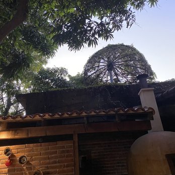 Tequila Restaurant - Even the satellite dish is organic! - Mexican Near Me - Tijuana, BCN Tequila Restaurant - Even the satellite dish is organic! - Mexican Near Me - Tijuana, BCN