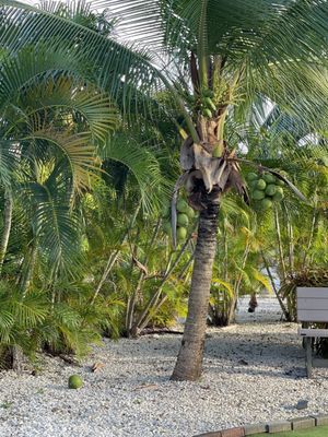 Fajardo Inn by null
