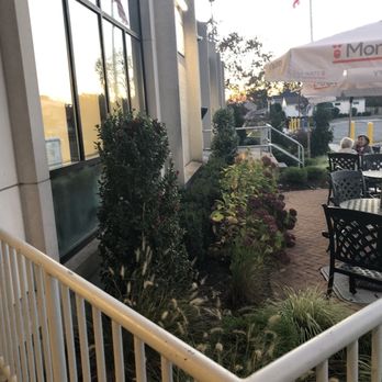 Mongo’s - Library outside - An outdoor dining area with tables, chairs, and umbrellas, surrounded by landscaped plants and bushes, with a building and American flags in the background. - Coffee & Tea Near Me - Plainview, New York