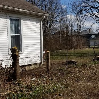 Coleman Lawn and Tree Services - Completed walnut and ash removal! - Tree Services Near Me - Springfield, Ohio