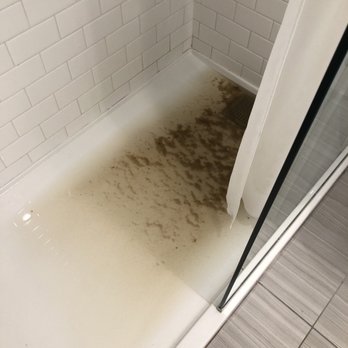 Flamingo Las Vegas - This was coming up out of the showers of the rooms on the 4th floor. Yes, that is someone else's shit. - Hotels Near Me - Las Vegas, Nevada Flamingo Las Vegas - This was coming up out of the showers of the rooms on the 4th floor. Yes, that is someone else's shit. - Hotels Near Me - Las Vegas, Nevada