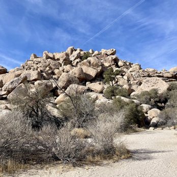 Joshua Tree National Park - Parks Near Me - Joshua Tree, California Joshua Tree National Park - Parks Near Me - Joshua Tree, California
