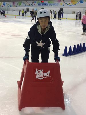 Taipei Arena Ice Land by null