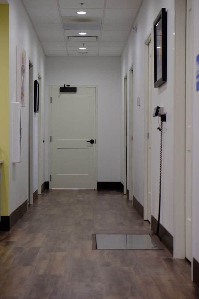 LAKEWOOD VETERINARY CENTER Updated July 2024 32 Photos & 68 Reviews