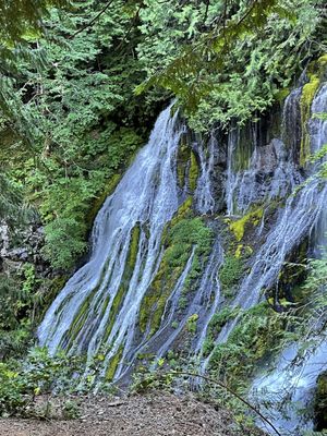 Panther Creek Falls by null