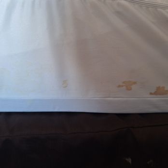Quality Inn - More red stains - Hotels Near Me - Thermopolis, Wyoming