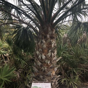 Rio Nature Park - Parks Near Me - Jensen Beach, Florida Rio Nature Park - Parks Near Me - Jensen Beach, Florida