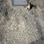 Photo of Evangelical Free Church Cemetery