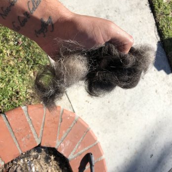 PetSmart Grooming - Pet Training Near Me - Compton, California