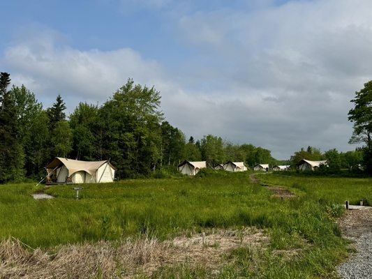 Under Canvas Acadia by null