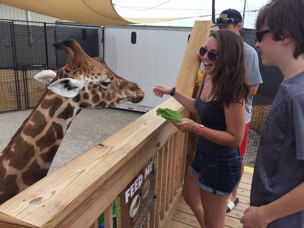 The Watering Hole Safari And Waterpark At Monsoon Lagoon Photos 29 Reviews Zoos 1530 S Danbury Rd Port Clinton Oh Phone Number Yelp