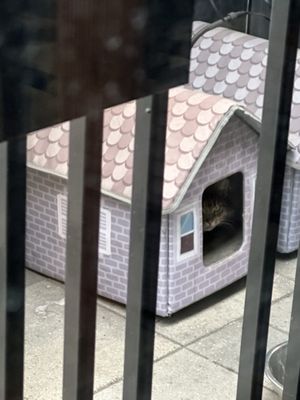 L' ArteSano Cafe & Juice Bar by null