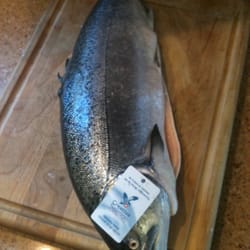 Creative Salmon - Hello Mr. Salmon.