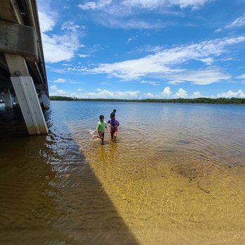 Camp Helen State Park - Kids playing with crustaceans. - Parks Near Me - Panama City Beach, Florida