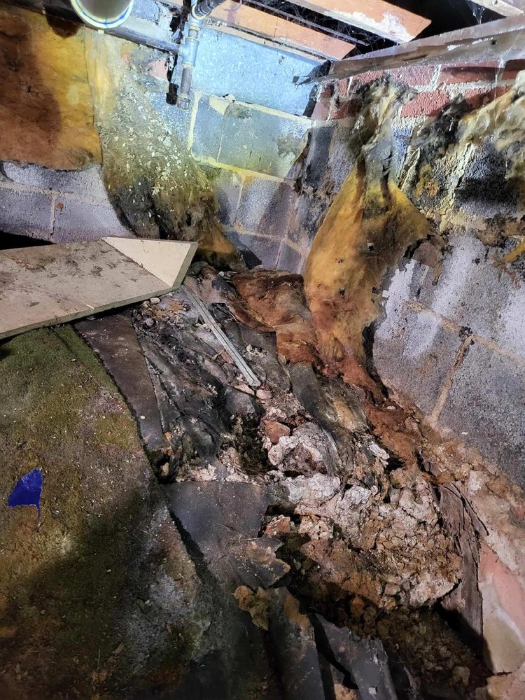 Slide of Corados Services