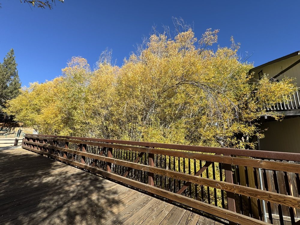 Rathbun Creek Trail Logo
