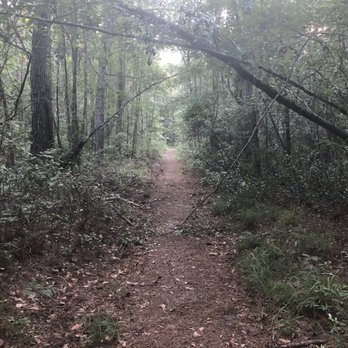 Blue Sky Preserve Trail - Hiking Near Me - Savannah, Georgia