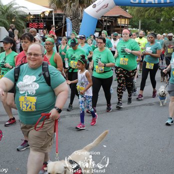 Canines 4 Hope - Malone gives me the courage to keep going. - Pet Training Near Me - Stuart, Florida