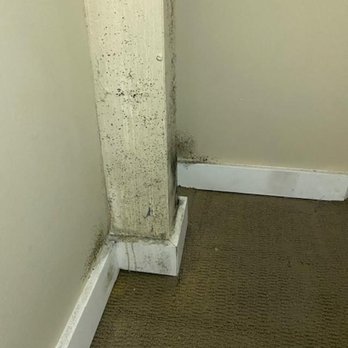 Hawkins Poe - Mold in the closet not referenced in the move out sheet provided by Becky - Real Estate Services Near Me - Fircrest, Washington Hawkins Poe - Mold in the closet not referenced in the move out sheet provided by Becky - Real Estate Services Near Me - Fircrest, Washington