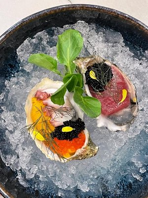 Crudo Ceviche & Oyster Bar by null