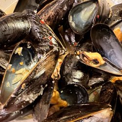 Maplewood III - Mussels, white